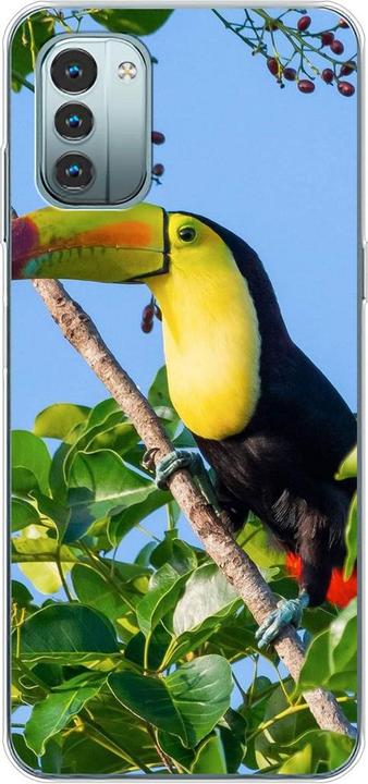 Tucan