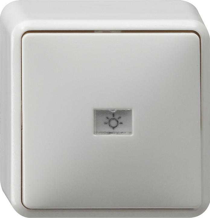 Actual product image Gira Changeover switch