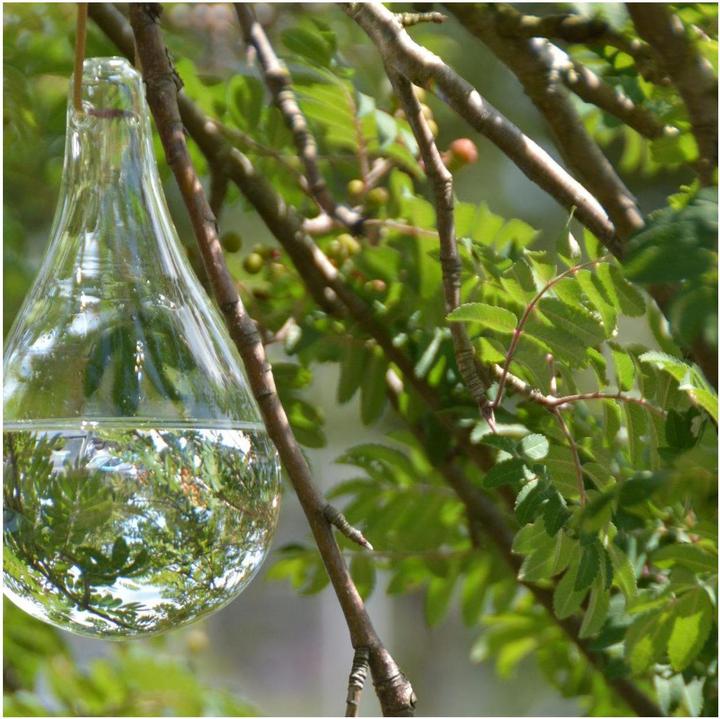 Immagine prodotto Esschert Design Repellente per mosche (825 ml)