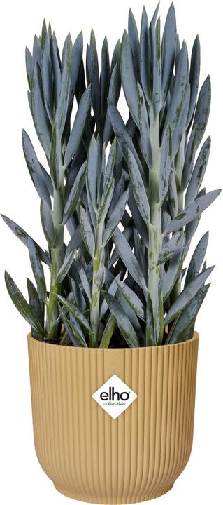 Produktbild Elho Blumentopf (16.10 cm)
