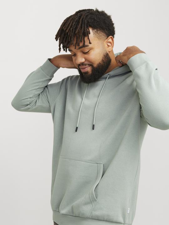 Produktbild Jack & Jones Jjebradley Sweat Hood Noos Pls (3XL)
