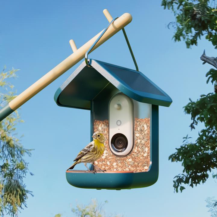 Actual product image Bird Buddy Smart Bird Feeder 2.0