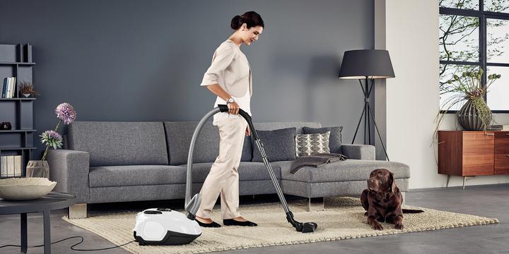 Immagine prodotto AEG VX7-2-IW-S Sacco per la polvere secco per aspirapolvere a cilindro
