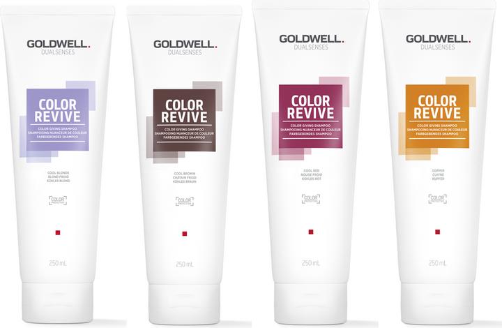 Produktbild Goldwell Color Revive Color Giving Shampoo Cool Brown Shampoo (250 ml, Flüssiges Shampoo)