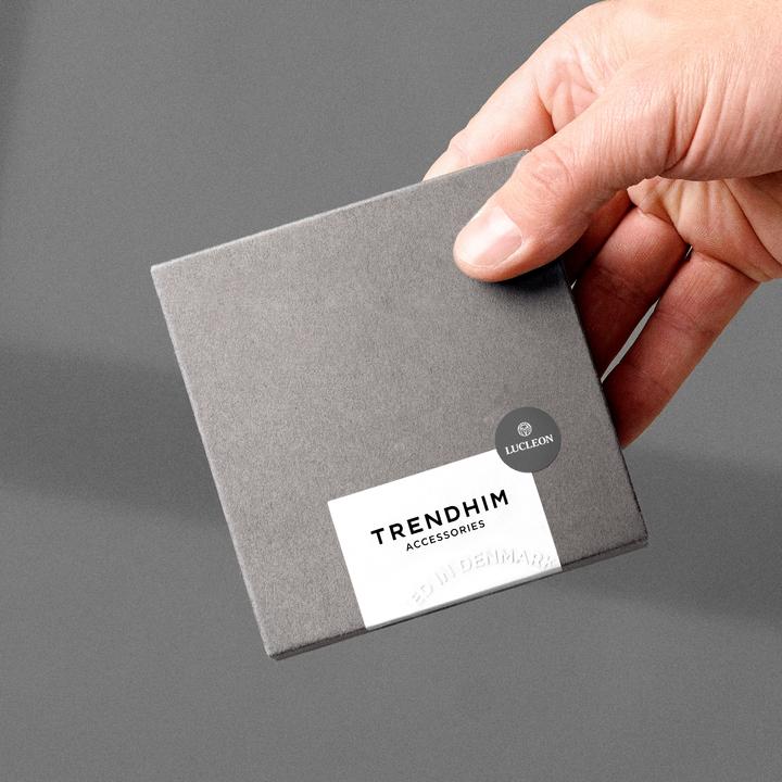 Produktbild Lucleon Essentials (0.30 cm, Edelstahl)