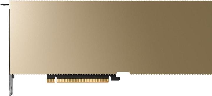 Actual product image PNY NVIDIA L40S (48 GB)