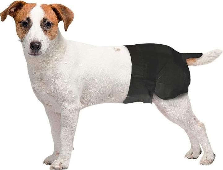 Produktbild Freezack Einweg​-​Windeln für Hündinnen, Bauchumfang 32-48cm (1x12 Stk) (Hund)
