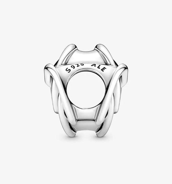 Actual product image Pandora Charm Family Forever (Sterling silver 925)