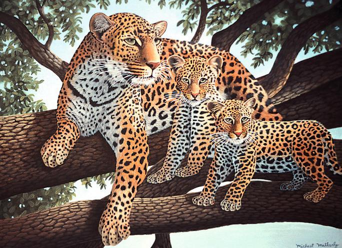 Immagine prodotto Royal & Langnickel Pittura con numeri "Leopardi", 30 x 40 cm