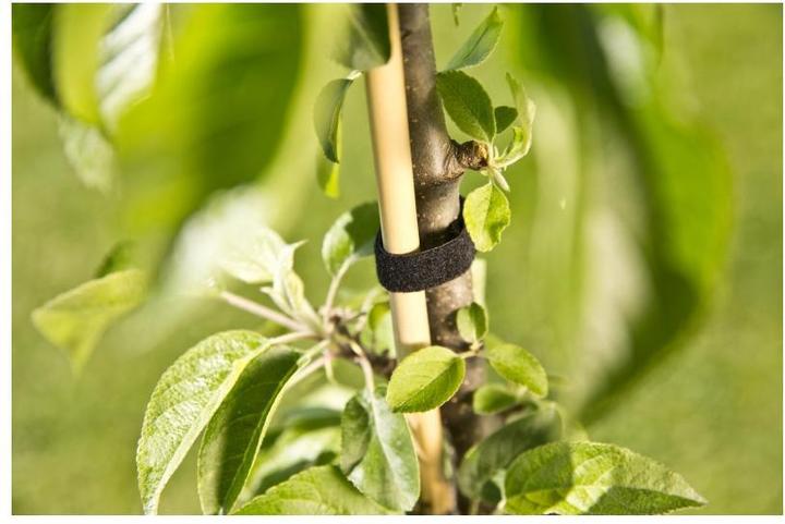 Immagine prodotto Windhager Fascetta universale in velcro (500 cm, 1.20 cm)