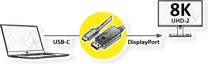 Actual product image Roline Adapter cable USB Type C-DP 1m v1.4 8K60Hz ST/ST (USB-C, 100 cm)