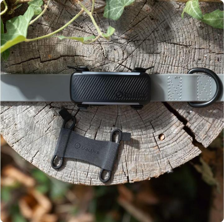 Produktbild Tractive GPS Dog 6 - Rubber Clips (Hund, Hundesport)