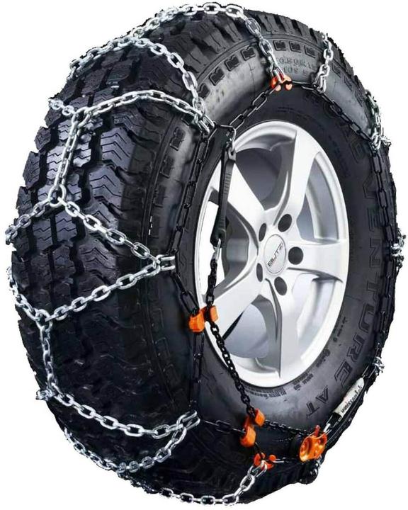 Weissenfels Rex TR RTR Group 7