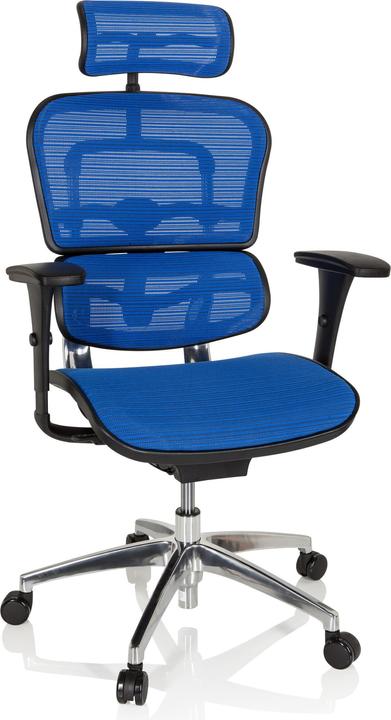 Actual product image Hjh Office Ergohuman Edition