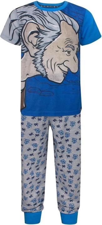 Actual product image The BFG Boys Giant Country Pyjama Set (146, 152)