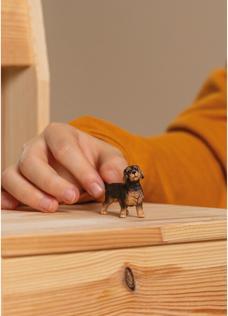 Actual product image Schleich Rough-haired dachshund