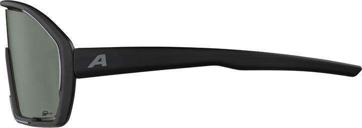 Immagine prodotto ALPINA SPORTS Bonfire Q-Lite (Nero opaco, Argento)
