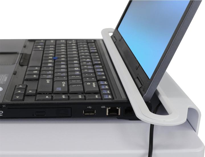 Actual product image Ergotron StyleView SV10
