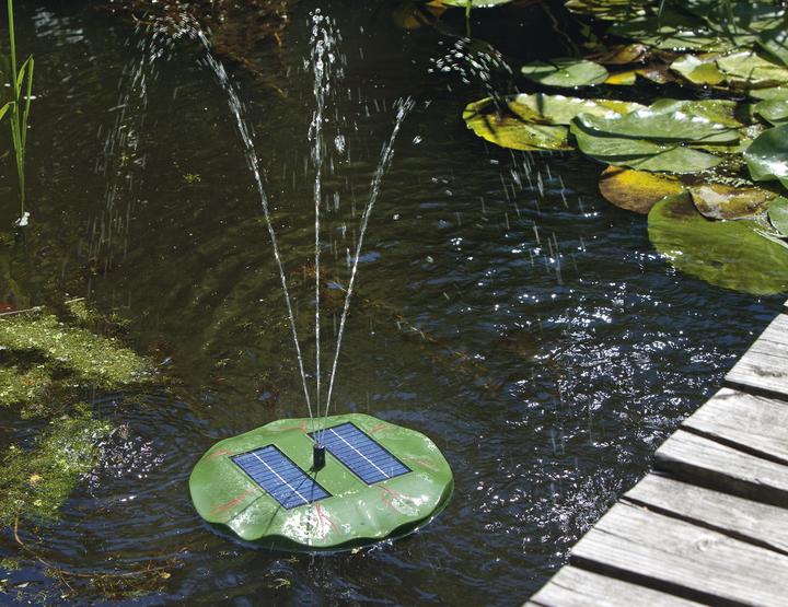 Produktbild Esotec Seerose