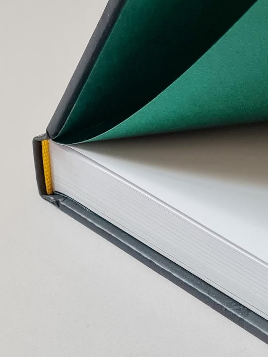 Actual product image Honig für Kunst &amp Gesellschaft (German, Joseph Beuys, Felix Droese, Hartmut Kraft, Hede Buhl, 2024)