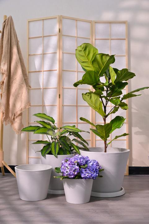 Image du produit Jaco green Porto (41 cm)