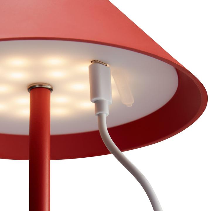 Actual product image micasa Carpi (130 lm)