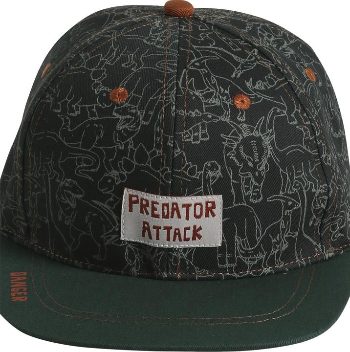 Actual product image Vertbaudet Boys cap, dinosaur