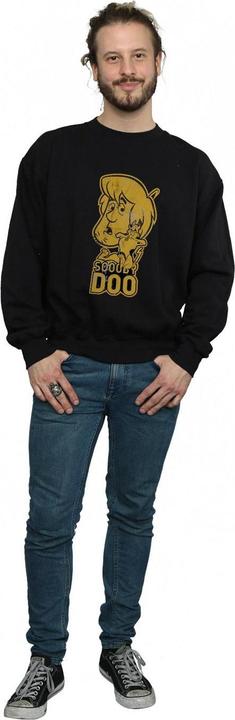 Image du produit Scooby Doo - Sweat AND SHAGGY - Homme (L)