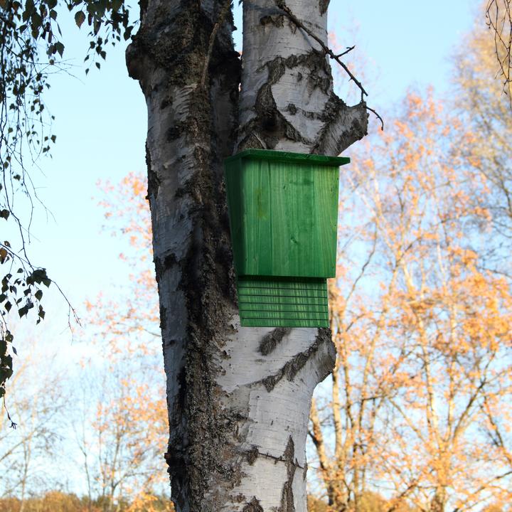 Produktbild Relaxdays Fledermauskasten