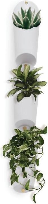 Produktbild Umbra Floralink (10 cm)