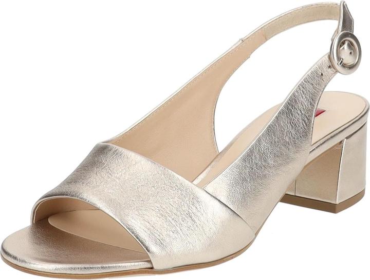Actual product image Högl Pumps (38)