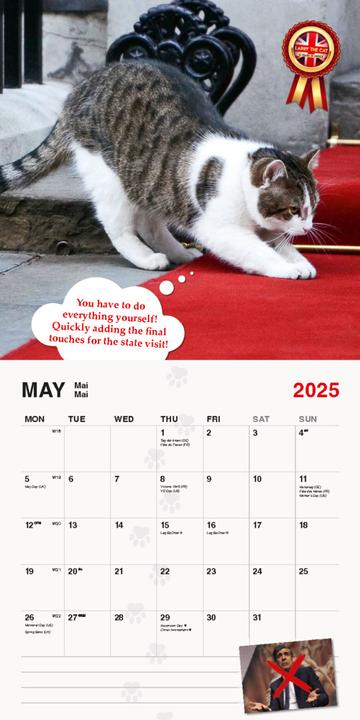 Produktbild Larry The Cat 2025 (Harter Einband, Deutsch)