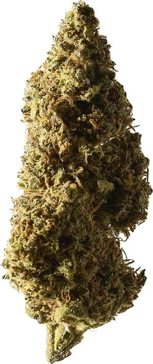 Actual product image Herba di Berna Blueberry Muffin Outdoor 45g (45 g, Outdoor)