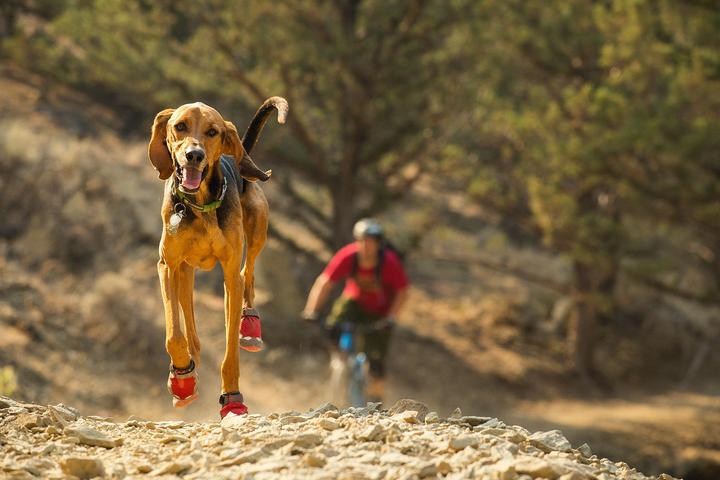 Image du produit Ruffwear Grip Trex 2 Paare Hundeschuhe (L, Chaussures pour chien)