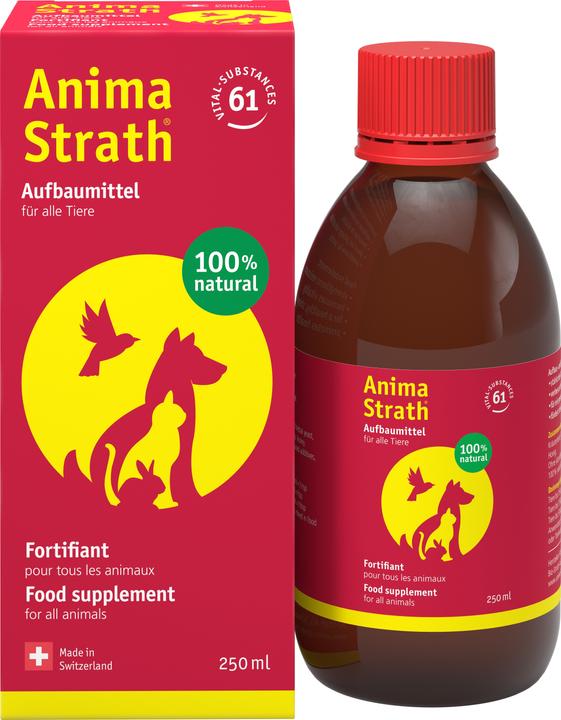 Produktbild Anima-Strath Flüssiges Aufbau- & Stärkungsmittel (Senior, Adult, Junior, 1 Stk., 0.25 g)