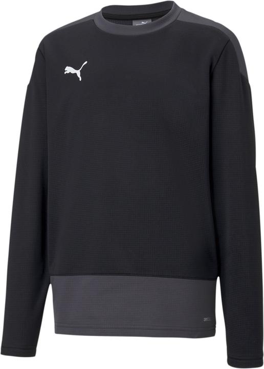 Puma teamGOAL 23 TRG Sweat Jr-656568 (116)