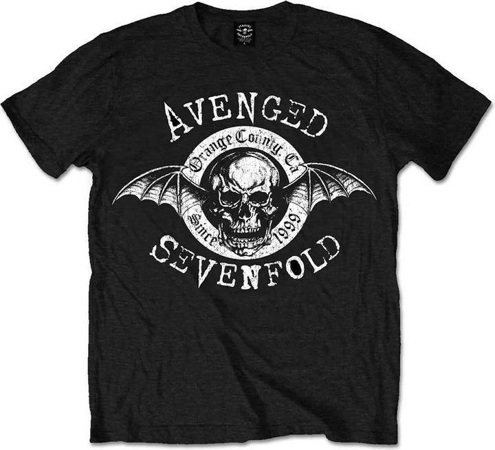Avenged Sevenfold Origins