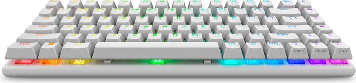Image du produit Dell Alienware Pro Wireless Gaming Keyboard (US, Sans fil)