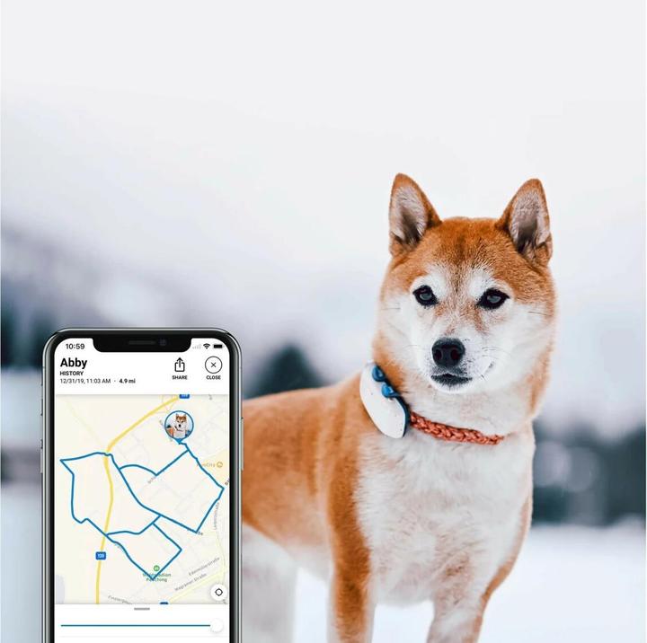 Image du produit Tractive Traqueur GPS pour chien Dog 4 (Taille unique, Chien, Général)