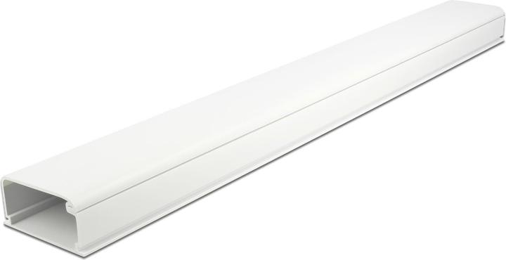 Image du produit Delock Chemin de câbles avec couvercle 57 x 28 mm (Conduit, 100 cm)