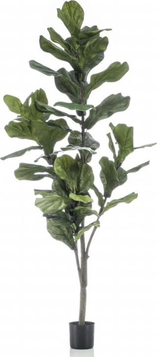 Emerald Griz (160 cm)