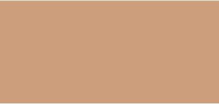 Inika Organic Natural Light Care Make-Up Serum Foundation - 25 Ml