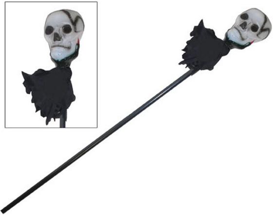 Skull