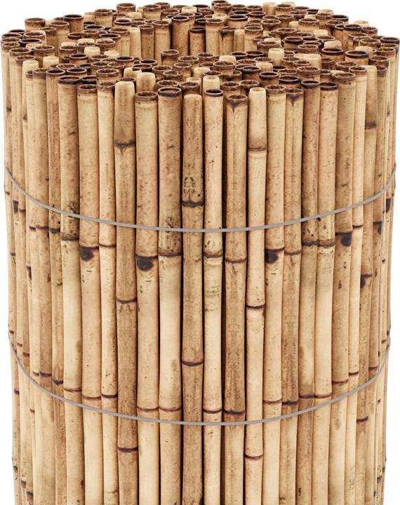 Produktbild Casa.Pro Allzio (150 cm)