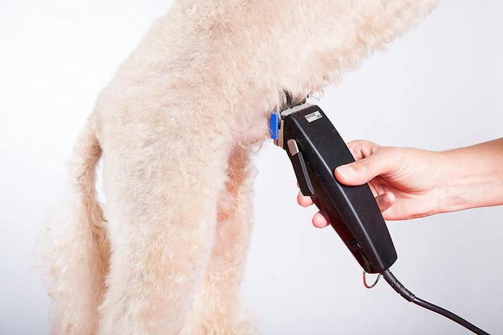 Image du produit Moser Tondeuse à cheveux pour chiens (Chien, Chat)