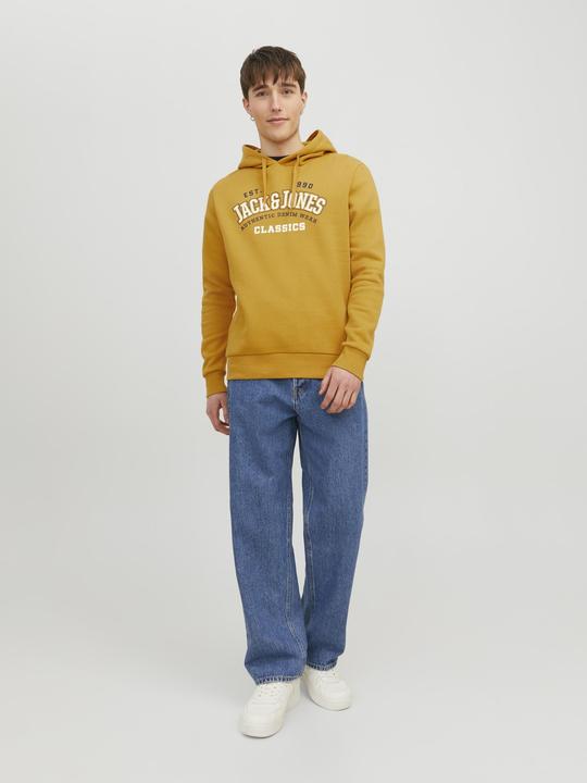 Image du produit Jack & Jones Logo Hoodie (XXL)