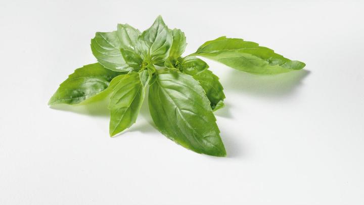 Actual product image Stöckli Dörrex