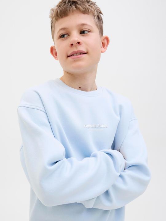 Actual product image Jack & Jones Printed sweatshirt junior sweatshirt (140)