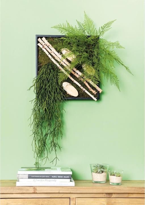 Actual product image Opiflor Birch branches bundled 1-2.5 x 50 cm