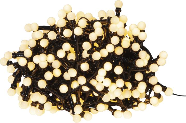 Image du produit Star Trading Berry Mini (0.15 m)